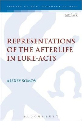 Representations of the Afterlife in Luke-Acts (Criminal Practice Series) cover
