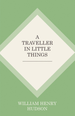 A Traveller in Little Things cover