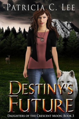 Destiny's Future cover