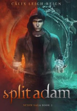 Split Adam: Scion Saga Book 2 (Scion Saga) cover