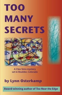 Too Many Secrets cover