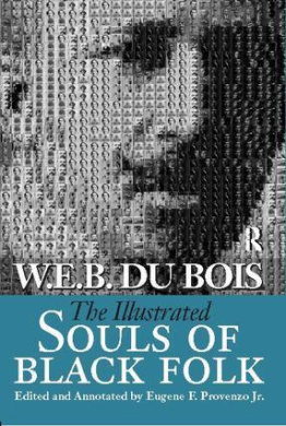 The Illustrated Souls of Black Folk cover