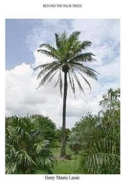 Beyond the Palm Trees cover