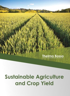 Sustainable Agriculture and Crop Yield cover